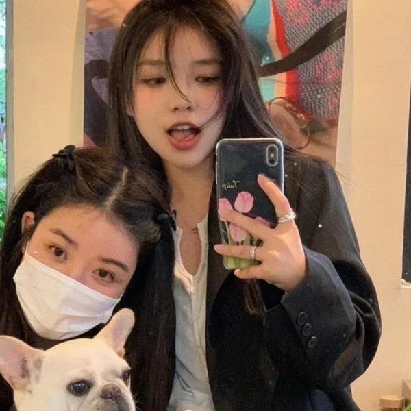 虎豹龙蛇鹰粤语